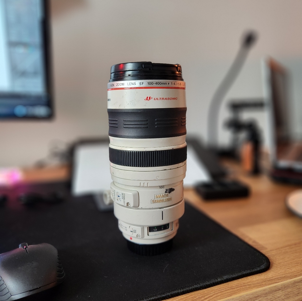 Canon 100-400mm L Series